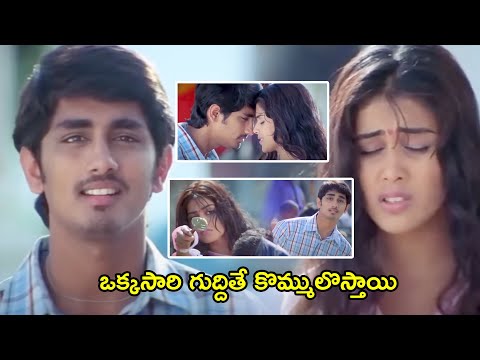 Siddharth And Genelia Bommarillu Movie First Meeting Comedy Love Scene || Multiplex Telugu