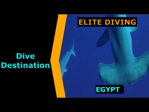 Diving Egypt, Elite Diving, Destination Spotlight for Scuba.Digital The #1 Online Dive Show