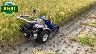 Driverless REAPER BINDER MACHINE Harvesting Paddy / Rice | Automatic Mini Reaper Binder Machine