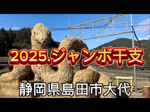 【ジャンボ干支】2025巳年のジャンボ干支が完成しました‼️