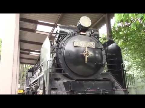 国鉄D51形蒸気機関車 853号機 - 1943年製造　飛鳥山公園　東京都北区王子