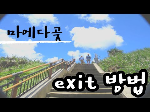 [오키나와 다이빙]  다이빙 기본지식(exit방법) 핑크머메이드