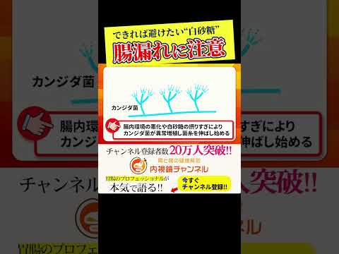 白砂糖”の摂り過ぎで起こっている事実　その他の腸漏れが起こりやすい食材は本編で