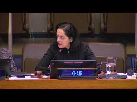 CSocD62 High-level panel discussion on the 30th anniversary of the International Year of the Family