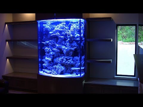 60" Tall Bowfront Reef Tank, LA Fishguys Episode 163, Part 4