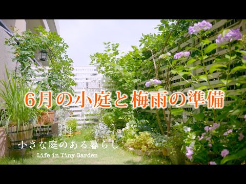 ガーデニング Vlog｜6月の小庭と梅雨の準備｜ 〜小さな庭のある暮らし 165〜Gardening ｜ Life in a tiny garden