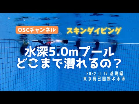 水深5.0ｍプールでどこまで潜れる？OSCスキンダイビング講習会（基礎編）の練習風景（フォームチェック動画） in 東京辰巳国際水泳場