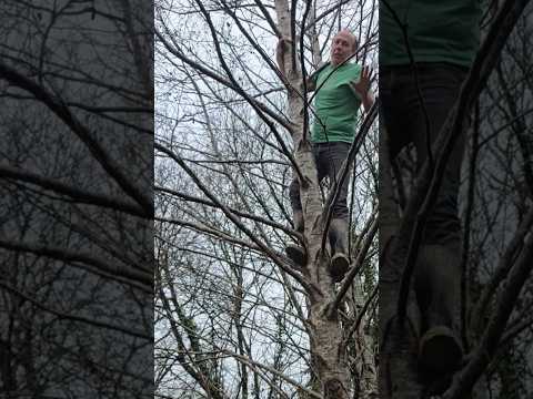 Climbing a tree I planted 🌳 #adventure #treeplanting #woodland #treeclimbing #permaculture #forest