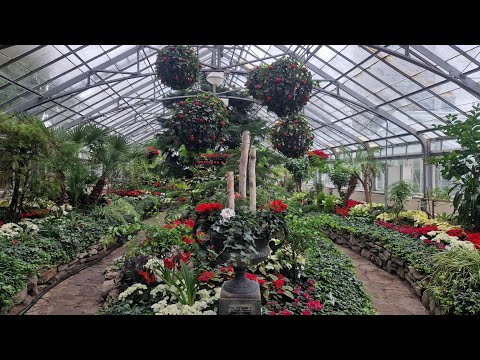 Allan Garden Conservatory  Part 1  Free Admission 帶你逛花園