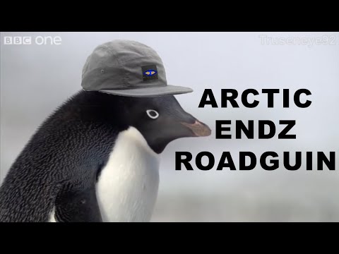 If Penguins Were Roadmen (Frozen Planet Parody Dub)