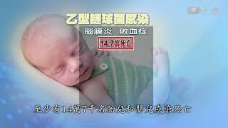 乙型鏈球菌 新生兒殺手