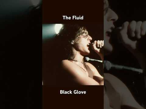 The Fluid's Sub Pop catalog is back in print! Watch the video for "Black Glove" now. #punk #subpop