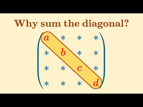 Matrix trace isn't just summing the diagonal | Lie groups, algebras, brackets #5