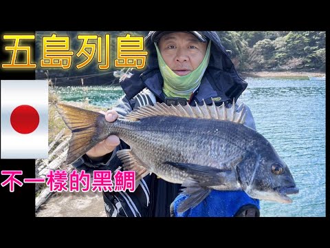 磯釣人的天堂 五島列島 這裡的黑鯛長得跟台灣不一樣 聽說釣不到2斤以下的黑鯛