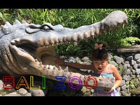 Bali Zoo 【VLOG】🌺【親子デート】 2019.2