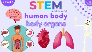 Human Body Organs | Science For Kids | STEM Home Learning