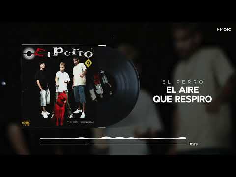 El Perro - El Aire Que Respiro (Cover Audio)