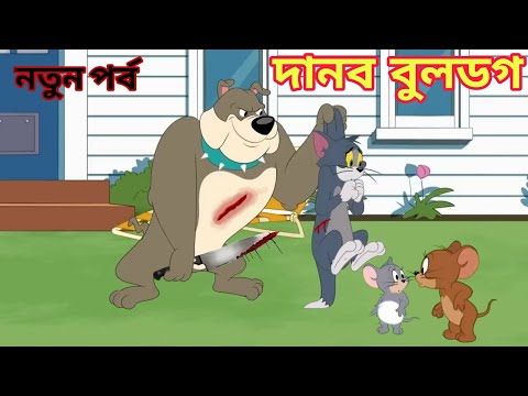 tom and jerry | tom and jerry bangla | cartoon | tom and jerry cartoon | bangla tom and jerry