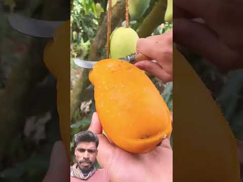 @Malwainspired #satisfying#fruitcutting#fruit#gardening#vegetable#oddlysatisfying#plants #trending