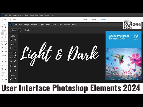 Will You Choose Light or Dark? New User Interface in Photoshop Elements 2024