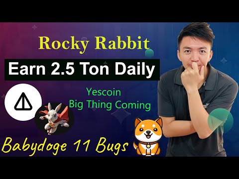 Rocky Rabbit New Task to Earn 2.5 Ton Coins | Yescoin Big Thing Coming Soon | Babydoge Mining News