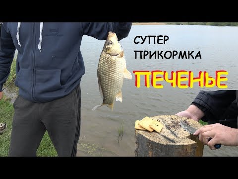 рыбалка фидер карась ловим на печенье лучшая прикормка