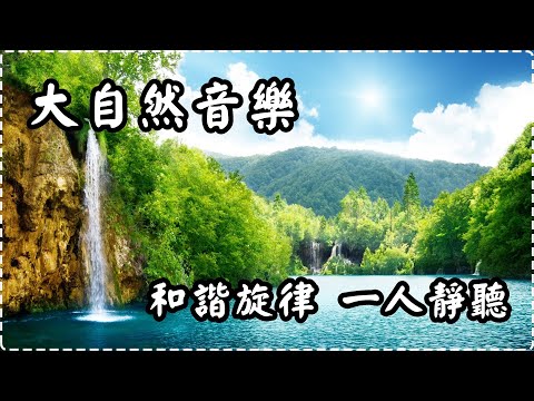 大自然音樂 和諧旋律【1小時】一人靜聽 適合睡眠用、睡眠前、冥想 Soothing Piano Music