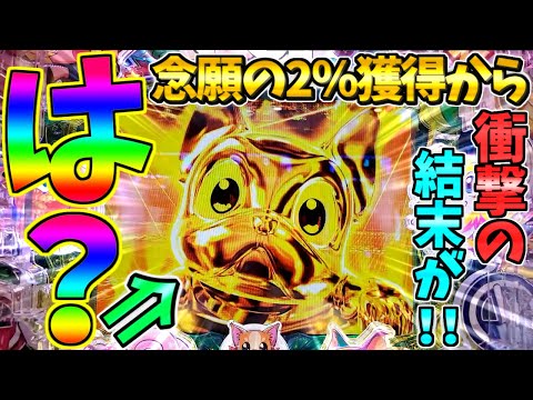 【新台】【パチンコ】PAわんわんパラダイスCELEBRATION / 念願の2％獲得から衝撃の結末に思わず声が漏れてしまう男【どさパチ 730ページ目】