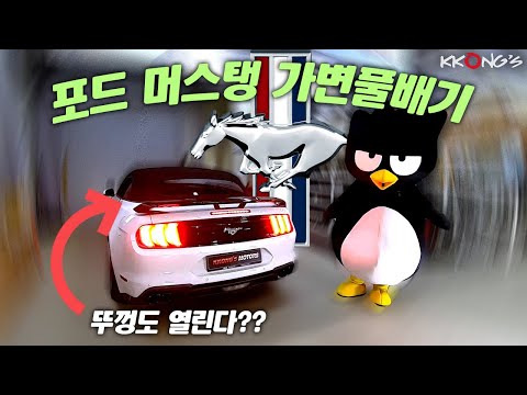 [꽁스모터스] 배기튜닝으로 오픈카 감성UPㅣ포드 머스탱ㅣ가변풀배기+머플러팁