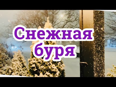 Снежный ураган накрыл Торонто, а я готовлю Гхи ( топленное масло)