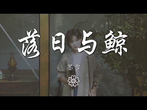 墨雪 - 落日與鯨『你緩緩靠近海面 我匆匆向你奔躍』【動態歌詞Lyrics】