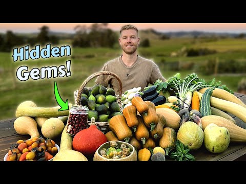 16+ WEIRD and WONDERFUL Fruits & Veggies That I'm Growing at Home - Tasting Adventure