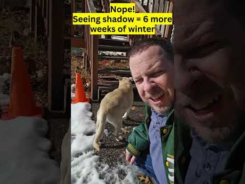 How much more winter? Groundhog (dog) prediction 2024