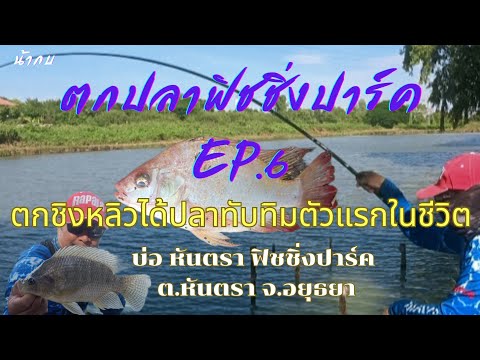 ตกชิงหลิวได้ปลาทับทิมตัวแรกในชีวิต ตกปลาฟิชชิ่งปาร์ค EP.6 บ่อหันตรา อยุธยา