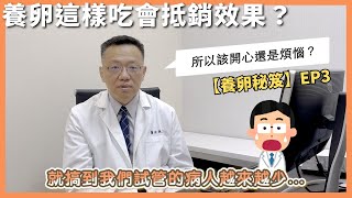 養卵這樣吃不僅沒補到，還會抵銷效果？｜妳吃了什麼補品他都知道？！【養卵秘笈】EP03｜張帆醫師 aka生育系統工程師