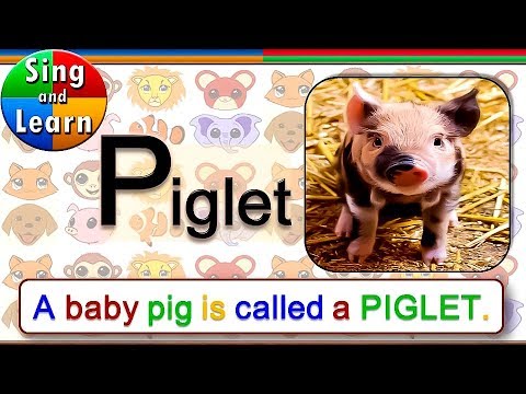 Farm Animal Sounds and Farm Animal Babies | Words for Kids