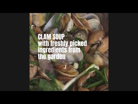 ASMR | Cooking Clam Soup for Dinner #shortvideo #shorts #cooking