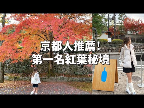 京都人推薦！第一名紅葉秘境🍁｜日本VLOG｜京都最美藍瓶咖啡！黑毛和牛炸牛排！京都排隊美食｜倫倫 LunLun