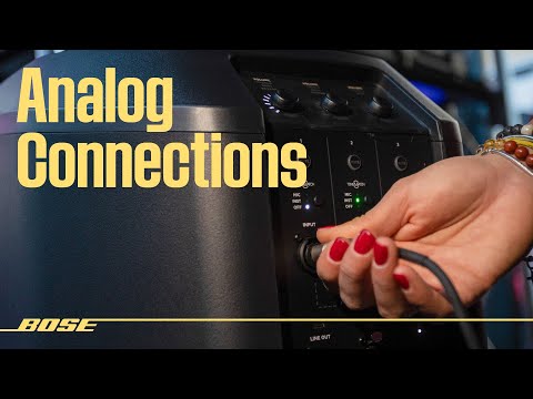 L1 Pro – Analog Connections Overview