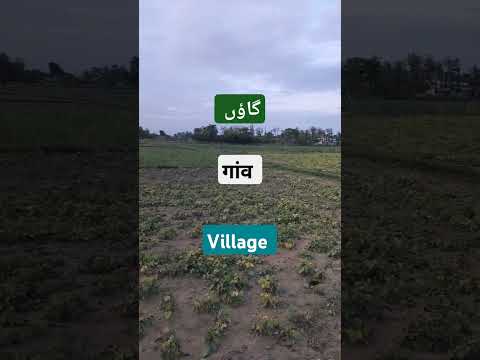 #Village#Gown#Dehat#Bihar#