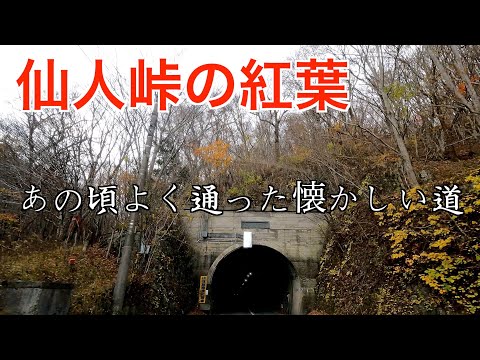 「仙人峠・紅葉】のんびり仙人峠ドライブ。懐かしい道を見てみませんか