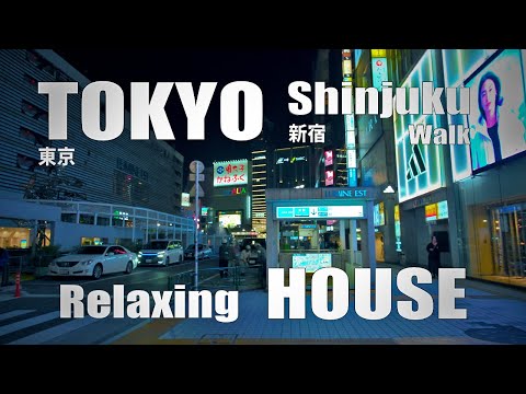 新宿 / Night walk in Shinjuku, Tokyo, Relaxing House ( November 12, 2024 )