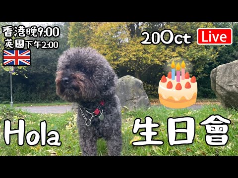 🔴Live-Hola 生日會 20oct