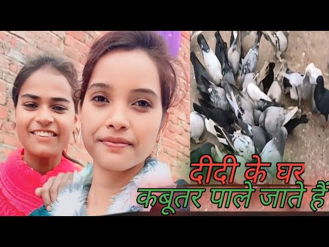 दीदी के घर कबूतर पाले जाते हैं🕊️#@AnjaliKumari-c