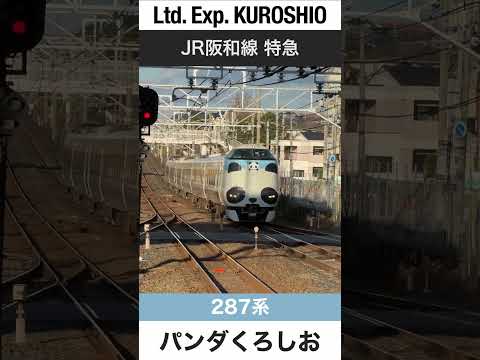 【パンダくろしお】熊取駅を通過するJR阪和線特急くろしお【電車が大好きな子供向け】Japanese Trains for Kids - Limited Express Panda Kuroshio