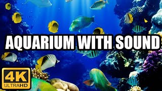 4K ASMR Ocean Aquarium 🐳 Tropical Fish, Coral Reef,  For Meditation Stress And Anxiety Relief