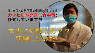 本当に危険なの？？実験してみた！～生・半生の鶏肉料理によるカンピロバクター食中毒が多発しています！！～