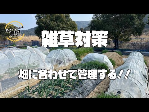 重要！家庭菜園の一年が決まる！！最初に決めておく【雑草】の管理方法【雑草対策】【農家の家庭菜園】