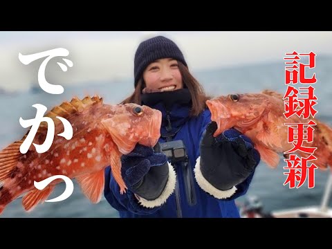 カサゴが釣れるポイント発見！極ウマのカサゴ【東京湾】【カサゴ】【穴釣り】【ロックフィッシュ】