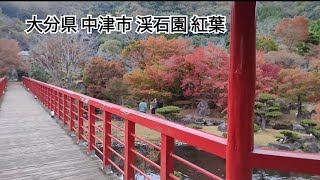 20231112-大分県中津市 渓石園 紅葉